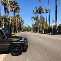 Отзыв от Давид - виза ДТВ